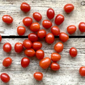 Tomater cherry due 4 kg Udl. 