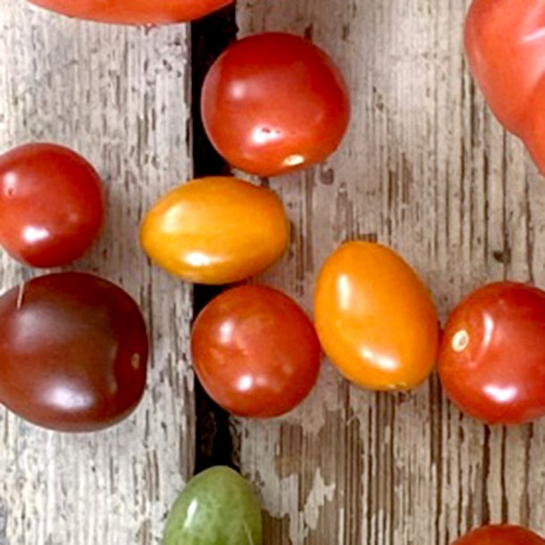 Tomater Cherry mix 3kg. Udl.