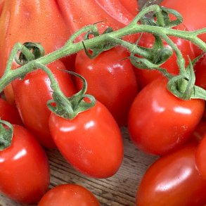 Tomater DADEL m/stilk 3 kg ITA / dagspris