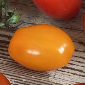 Tomater Cherry gule 9 x 250 gr SP