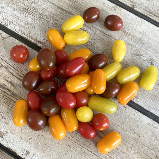 Tomater Cherry MIX 1 kg