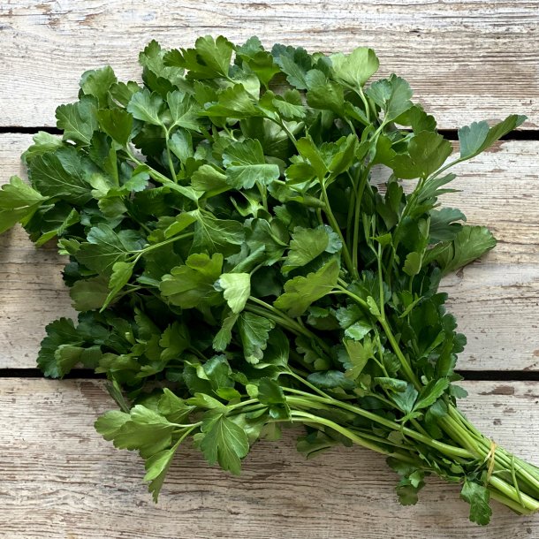 Bred persille 5 kg. Ital.