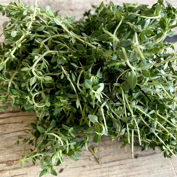 Citron Timian 50 gr. Isr.