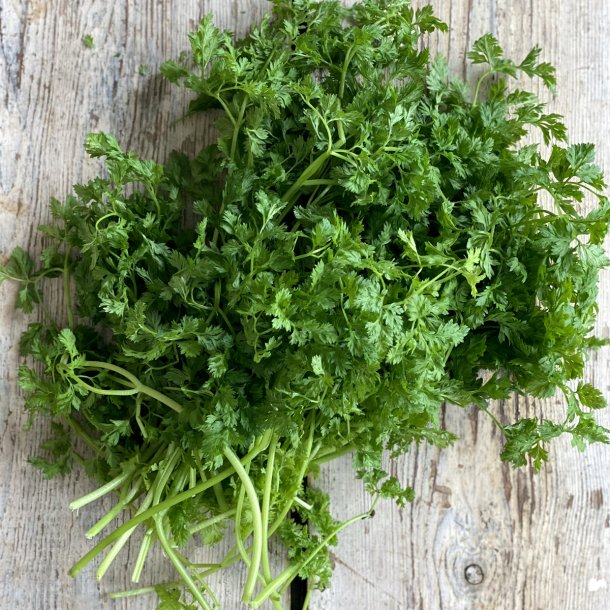 K�rvel 1 kg. L�S