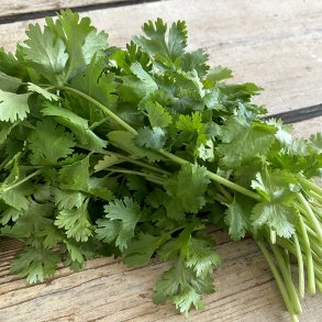 Koriander 1 kg. Ken