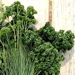 Persille krus 200 gr. Ita.